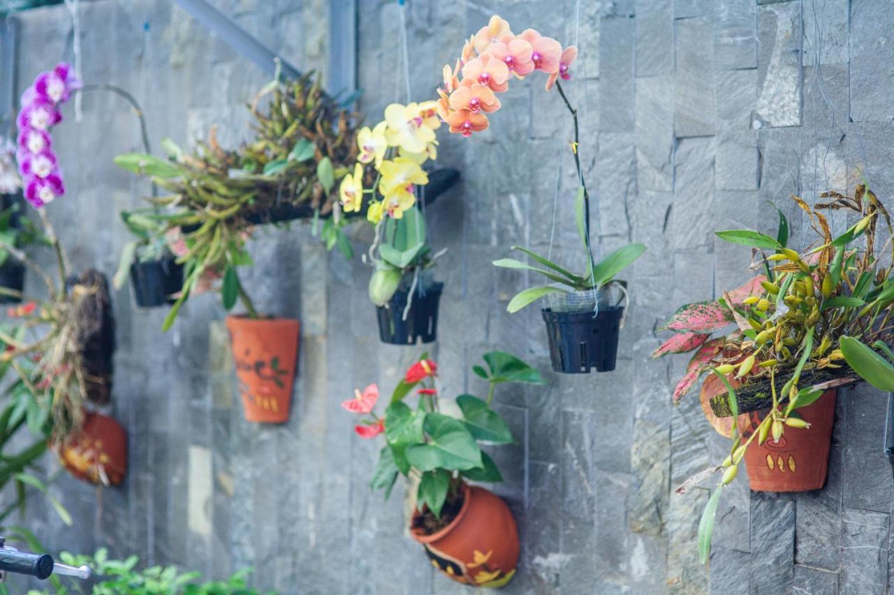 Flower Apartment 岘港 外观 照片